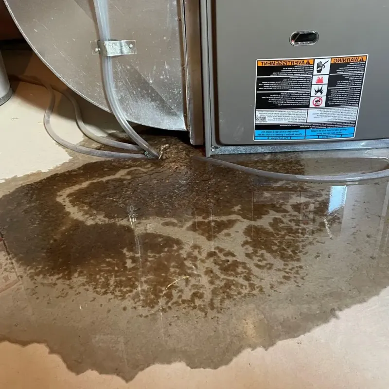 Pipe Burst and Leak Restoration in Rupert, ID